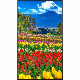 75-inch NEC M751 Ultra HD Professional Display for digital signage