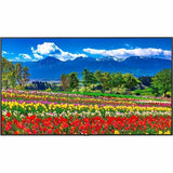 75-inch NEC M751 Ultra HD Professional Display for digital signage