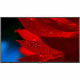 NEC MA551 55-inch professional digital signage display showing vivid 4K content