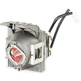 ViewSonic RLC-126 Projector Replacement Lamp for PX701-4K