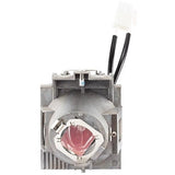 ViewSonic RLC-126 Projector Replacement Lamp for PX701-4K