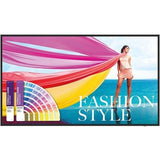 BenQ 43-inch Pantone validated digital signage display with 4K UHD resolution and vibrant color accuracy